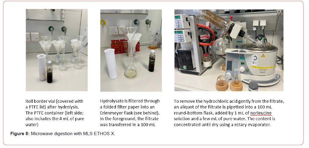Click here to view Large Figure 8 Insights in Chemistry and Biochemistry